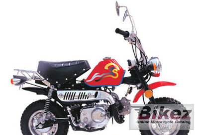 2007 veli king50 photo